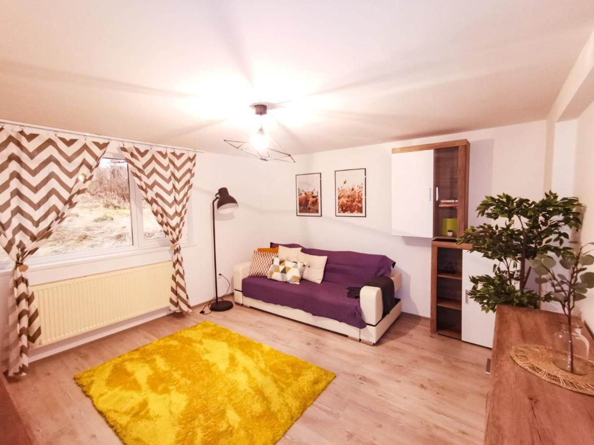 105500 Apartment Buşteni Екстериор снимка