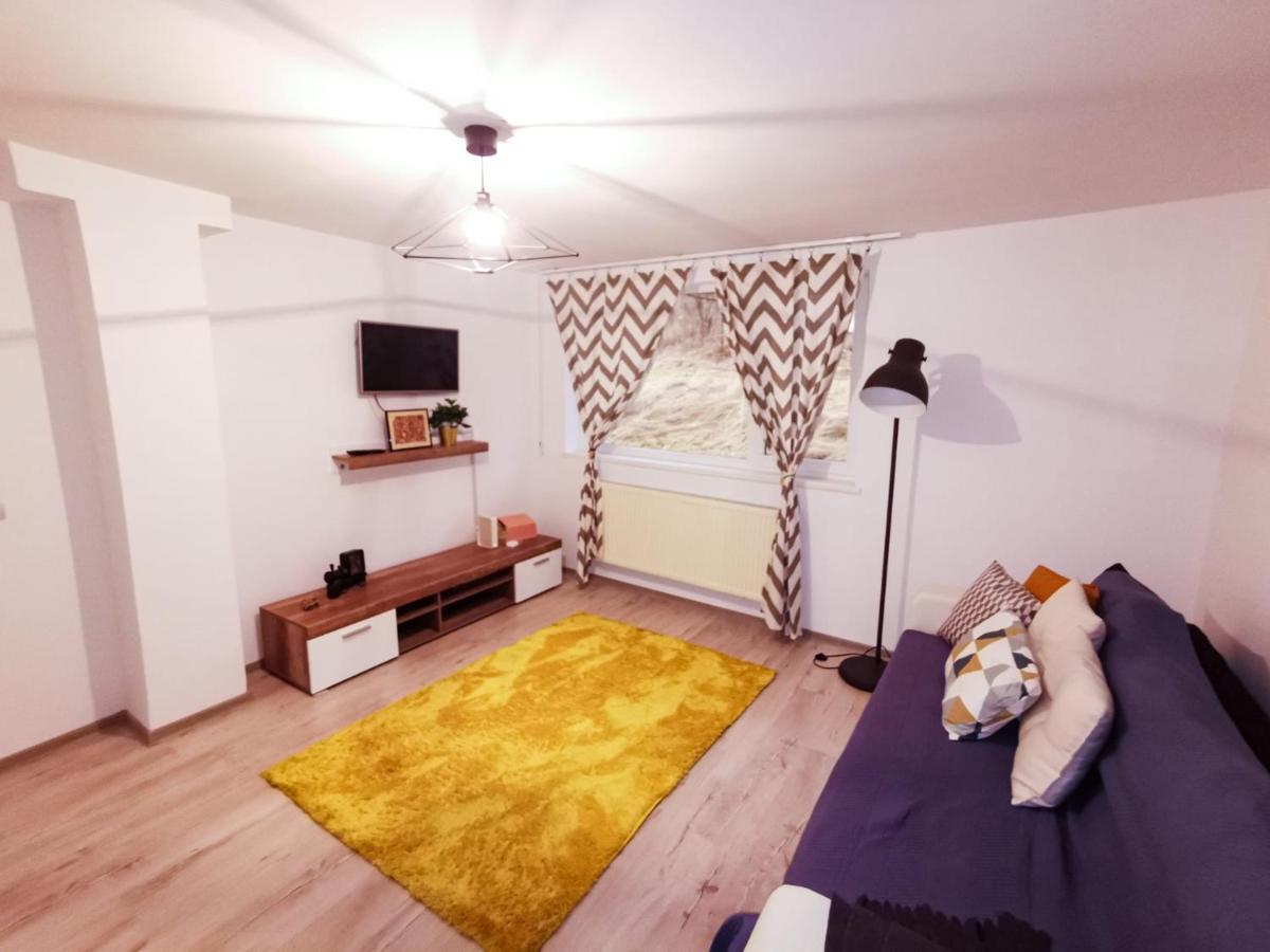 105500 Apartment Buşteni Екстериор снимка