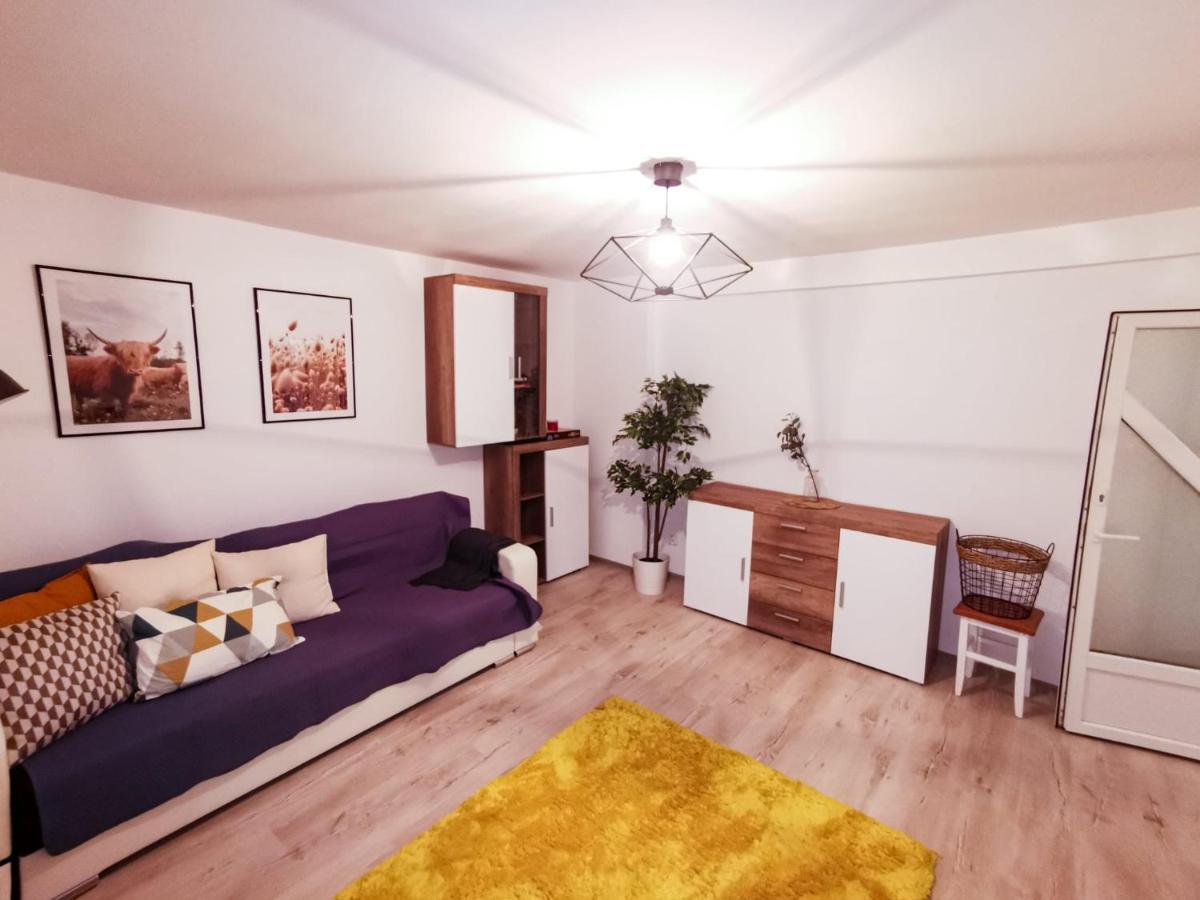 105500 Apartment Buşteni Екстериор снимка